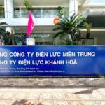 Quyền khai thác Chi nhánh Tổng Công ty Điện lực miền Trung